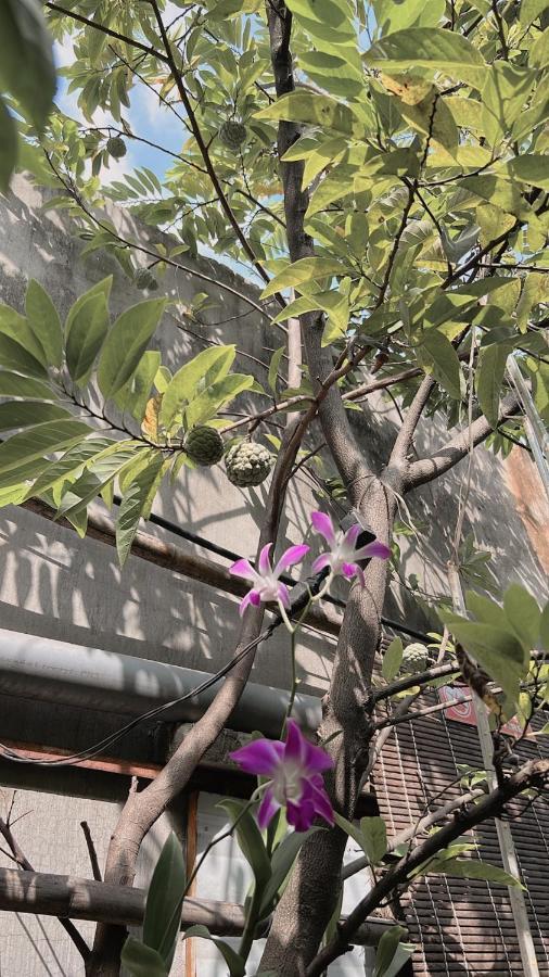 Homestay Da Nang Full House Exterior foto